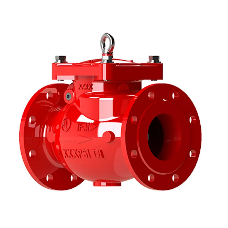 Check valve (1)